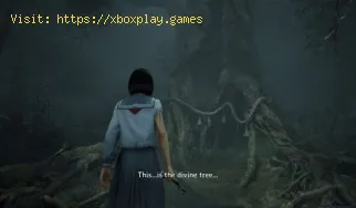 Come ottenere l'acqua divina in Silent Hill f