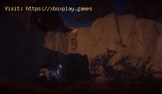 How to Solve Reliquary of Resilience Puzzle in Ghost of Yotei