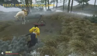 How to Reach Owl Mountain in Ghost of Yotei