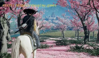 How to Get a Perfect Score in Ku-E-Shinok in Ghost of Yotei