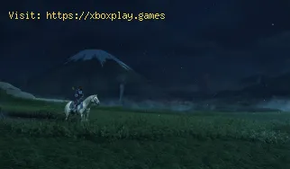 How to Remove Horse Camera Black Bars in Ghost of Yotei