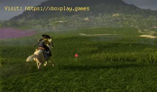 How to Cook in Ghost of Yotei