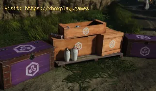 How to Drink Sake in Ghost of Yotei