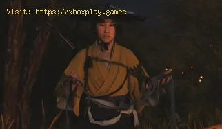 Should You Play in English or Japanese in Ghost of Yotei