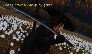 How to Unlock All Weapons in Ghost of Yotei