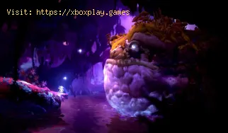 Ori and the Will of the Wisps: comment battre Kwolok