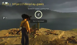 How To Increase Max Health and Spirit in Ghost of Yotei