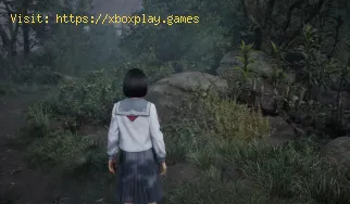 Come abilitare le impostazioni "True Epic" in Silent Hill F