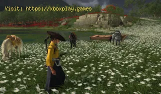 How To Find The Missing Supplies in Ghost Of Yotei