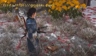 Where to Find All Puzzle Box in Ghost of Yotei