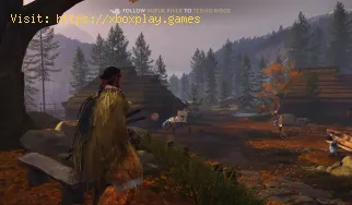 Where To Find All Kitsune Altars in Ghost of Yotei