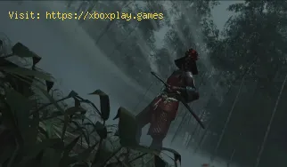 How to Get Lily's Touch in Ghost of Yotei