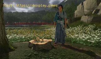 How to Get the Charm of Furious Attacks in Ghost of Yotei