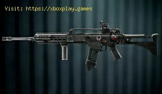 Bestes DSR-IAR-Loadout in Battlefield 6