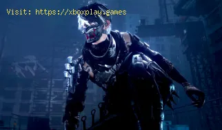 Tutti i caratteri confermati in Ninja Gaiden 4