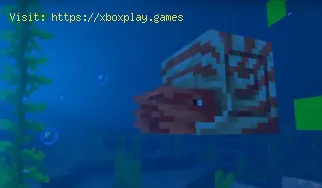 Como domar Nautilus em Minecraft