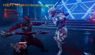 Come risolvere l'errore di crash Ninja Gaiden 4 sul PC