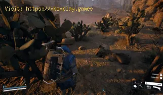 Dónde encontrar tunas en Arc Raiders