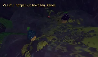 Cómo encontrar todos los tipos de bayas de hongos en PEAK