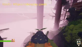 Comment trouver des baies de champignon dans PEAK