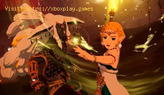 Lista de todas las armas en Hyrule Warriors Age of Imprisonment