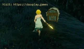 Cómo completar Donde duerme la sabiduría ancestral en Hyrule Warrior