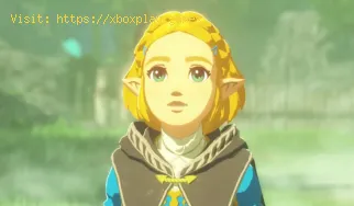 Cómo completar la misión «Hacia la Gran Meseta» en Hyrule Warriors