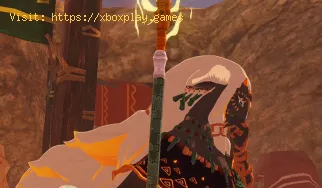 So schließt du den Heulenden Sturm in Hyrule Warriors Age of Imprison