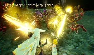 Wie man in Hyrule Warriors Age of Imprisonment heilt