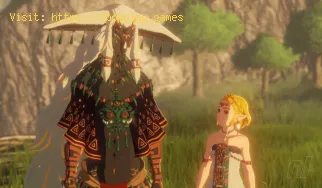 Wie man Elemente in Hyrule Warriors Age of Imprisonment verkettet