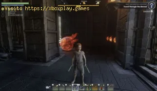 Come arrivare a Veilwater Basin in Enshrouded Wake of the Water