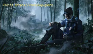 Come eseguire un attacco furtivo in Where Winds Meet