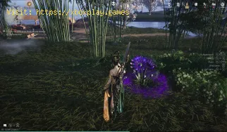 Comment obtenir du lotus enchanteur dans Where Winds Meet