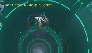 Wie man das verschlüsselte Kleinhirn in Risk of Rain 2 erhält