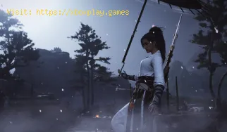 How to Get Soaring Spin in Where Winds Meet