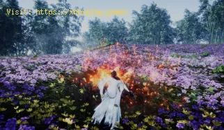 How to Befriend Fu Lushou in Where Winds Meet