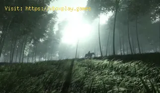 Cómo conseguir Melodía persistente en Where Winds Meet