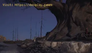 Cómo conseguir la habilidad Palma del Guardián en Where Winds Meet