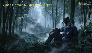 Cómo conseguir la decoración de avatar de Windtail para Discord en Where Winds Meet