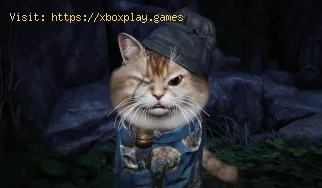 Todos los lugares de juego para gatos en Where Winds Meet