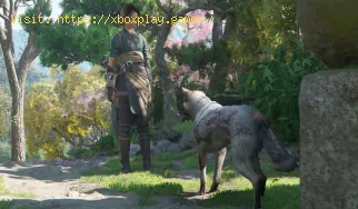 Cómo completar la misión "Enséñale nuevas patadas a un perro" en Assassin's Creed Shadows