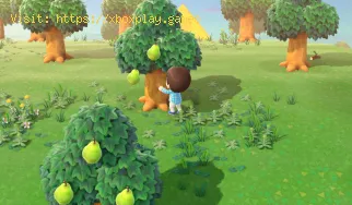 Animal Crossing New Horizons: come usare la frutta