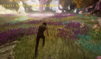 Come trovare tutte le tessere del gioco della campana in Clair Obscur Expedition 33