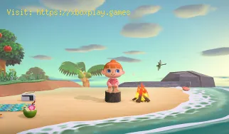 Animal Crossing New Horizons: dónde comercializar artículos para com