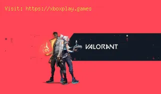 Valorant: How to fix error code 29