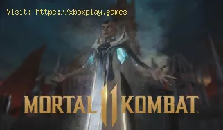 Mortal Kombat 11 présente de nouveaux personnages.