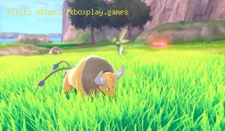 Pokemon Isle Of Armor: Como encontrar Poliwag
