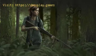 The Last of Us Part 2: Où trouver tous les manuels de formation