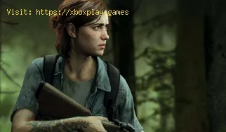 The Last of Us Part 2: So öffnen Sie die Vordertür