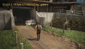 The Last of Us Part 2: So erhalten Sie den Ferry Safe Code